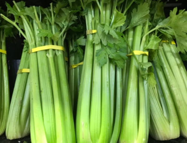 Celery