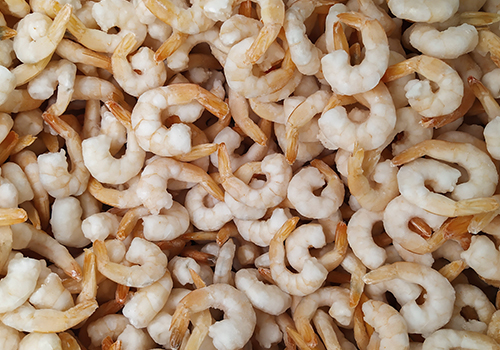 Pink fresh frozen shrimps with ice in a supermarket or fish shop. Uncooked seafood close up background. Fresh frozen prawns, delicacies, sea food concept, close up.