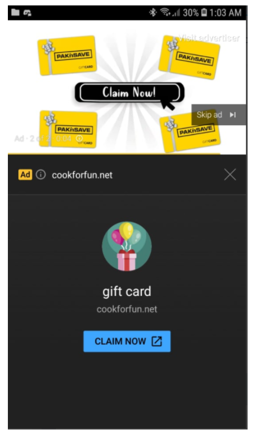 A scam circulating on a YouTube ad